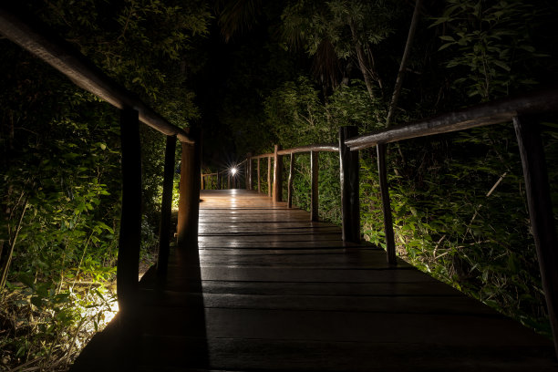 墨西哥玛雅海岸 Grand Palladium Colonial 度假村的木板路图片下载