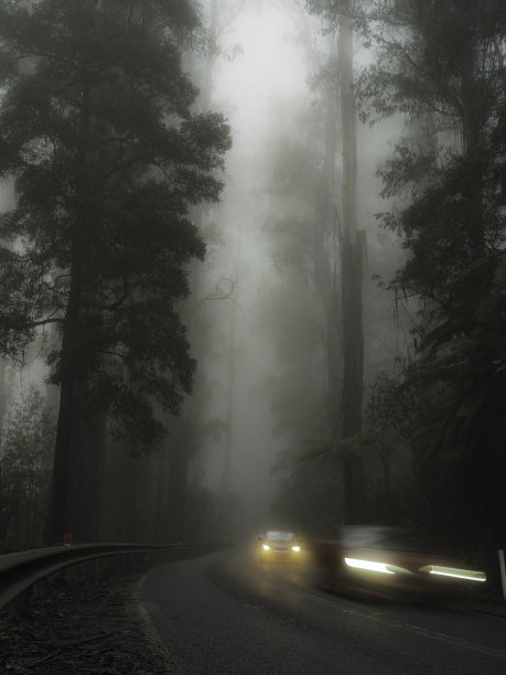 汽车行驶在雾蒙蒙的山路上图片下载