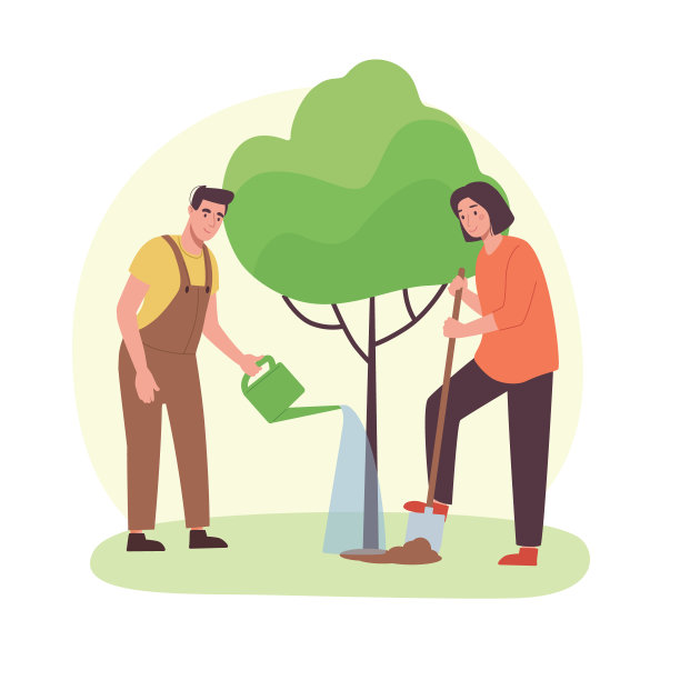 一男一女正在种树。女孩正在用铲子挖土，男孩正在用喷壶给一株绿色的幼苗浇水。园艺，关爱环境。矢量插图，平面风格。图片下载