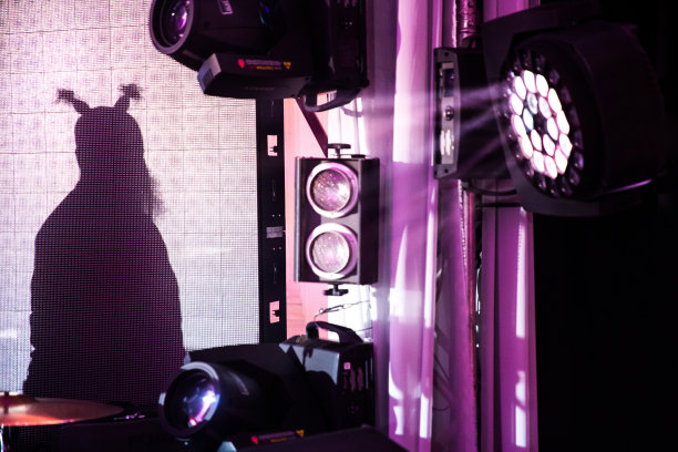 舞台上音乐家的影子。婚礼图片下载