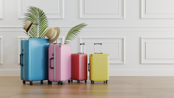 家庭旅行的行李图片下载