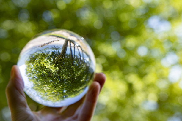 斯堪的纳维亚的自然和树的外部和内部。关注自然和气候，将自然包裹在一个发光的水晶球中。用一只手拿球。图片下载