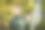 女人在花园里摆弄工具的照片图片下载
