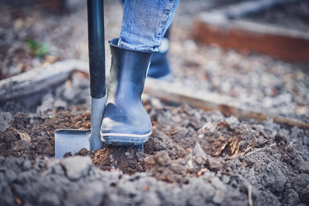 女人在花园里摆弄工具的照片图片下载