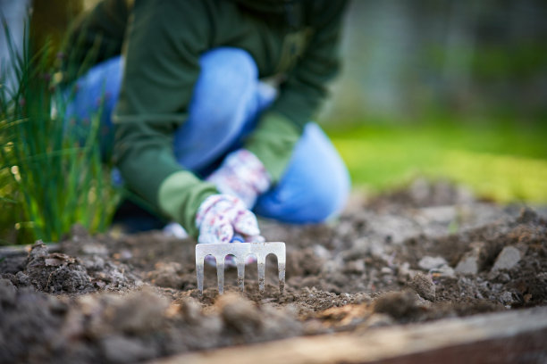 女人在花园里摆弄工具的照片图片下载