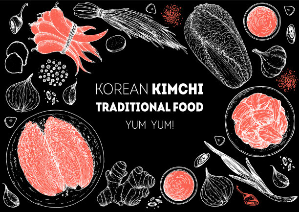 泡菜烹饪及泡菜配料，素描插图。韩国菜。健康食品，设计元素。手绘、包装设计。亚洲食物图片下载