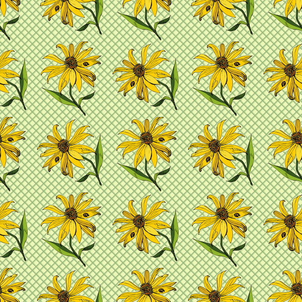 矢量花卉无缝图案，黄色的耶路撒冷洋蓟花，手绘，卡通风格，在白色背景上，说明织物设计，墙纸，包装纸，礼品包装，印刷封面图片下载