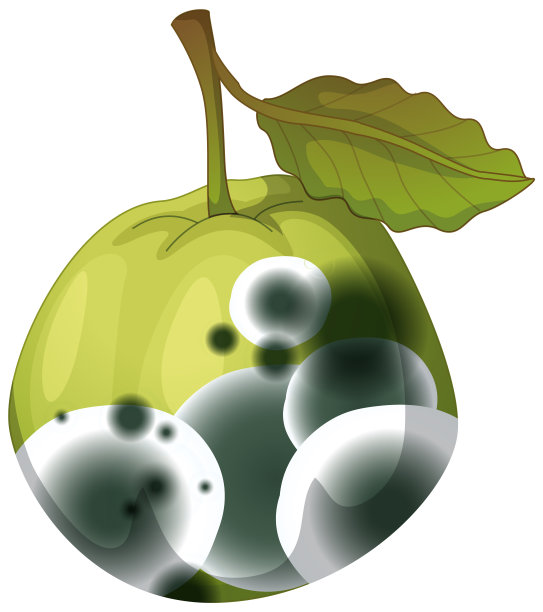 长了霉的番石榴图片下载