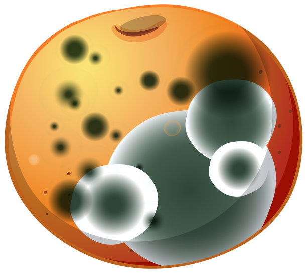 长了霉的橘子图片下载