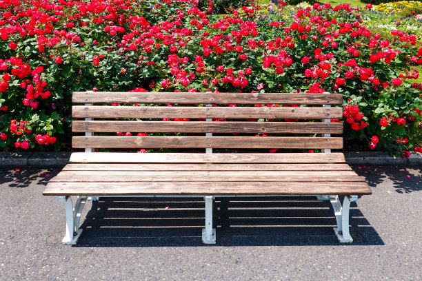 玫瑰长椅(横滨山下公园)图片下载
