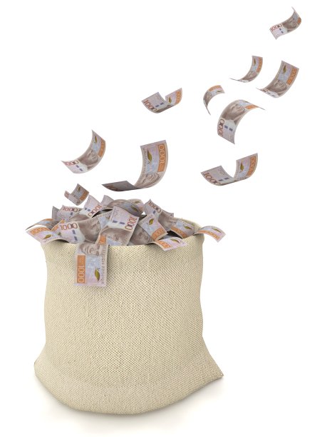 瑞典克朗钱袋袋财富图片下载
