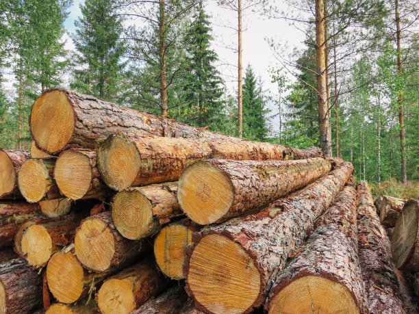 森林工业木材木材采伐芬兰图片下载