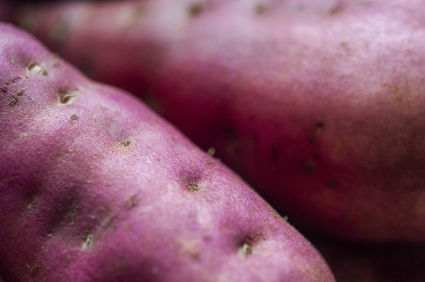 人类，重要的主食，红薯，图片下载