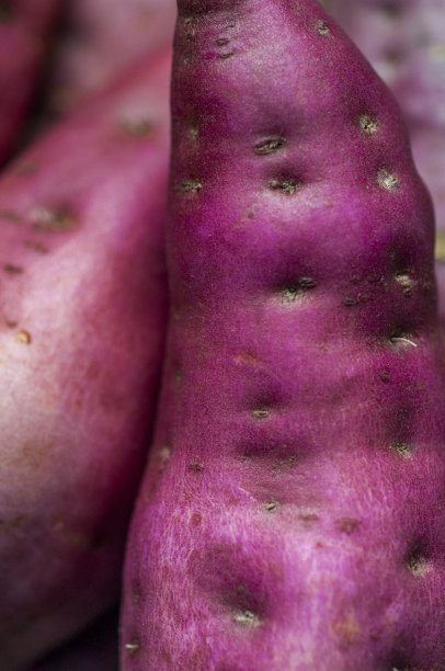 人类，重要的主食，红薯，图片下载