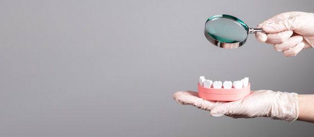 牙医检查牙齿模型banner图片下载