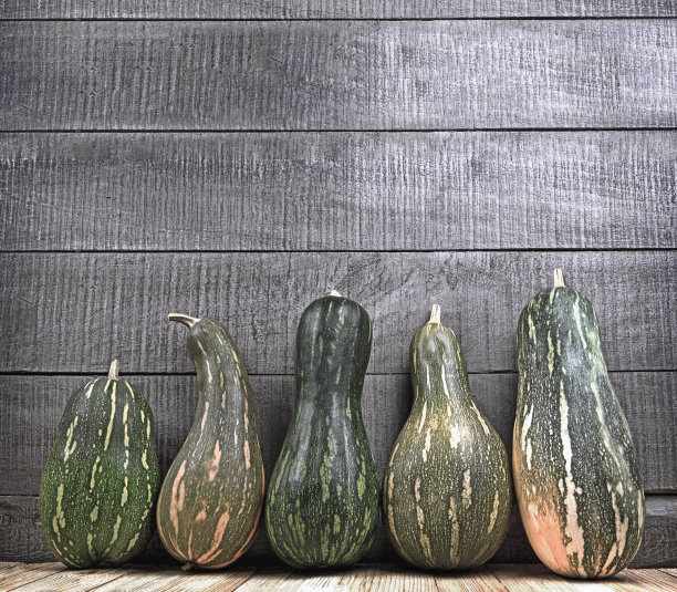 夏天西葫芦丰收。骨髓蔬菜。新鲜西葫芦夏季收获图片下载