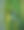蚱蜢脸站在绿色植物上的特写照片图片下载