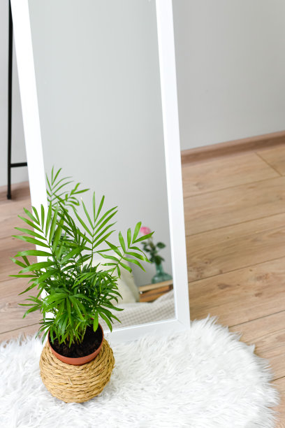 室内装饰家庭植物和旧书图片下载