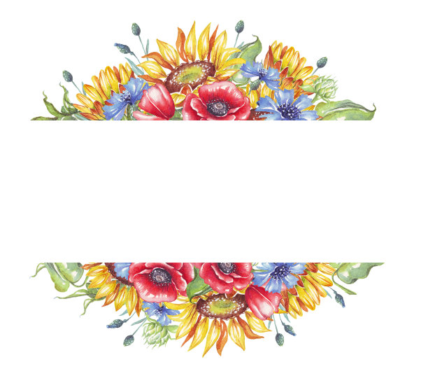 框架。水彩向日葵、矢车菊和罂粟花图片下载