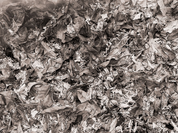 灰的背景。图片下载