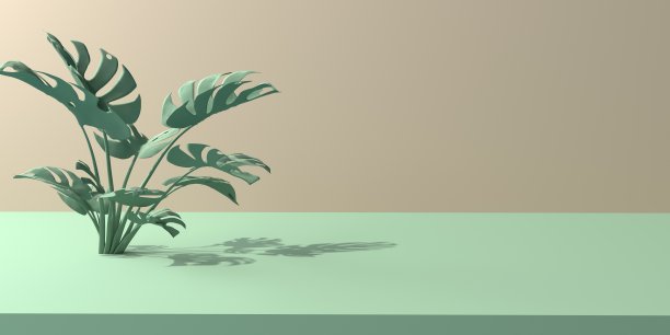 热带怪物的叶子有阴影图片下载