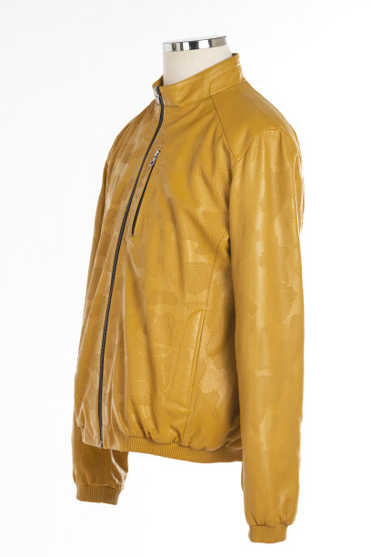 皮夹克孤立在白色背景。图片下载