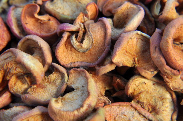 苹果干图片下载