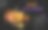 万圣节快乐的黑色背景。橙色带叶子的南瓜和紫色带蜘蛛网的蜘蛛。矢量，横幅，海报，传单。杰克的灯笼上有一张快乐的脸。图片下载