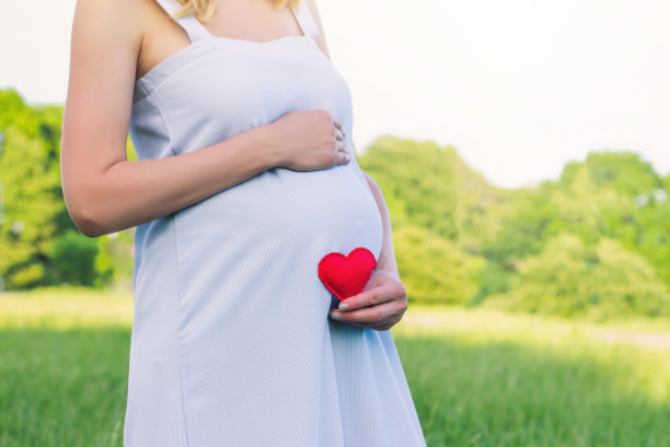 夏天的公园里，一名身穿蓝色连衣裙的孕妇手里拿着一颗红色的心。这个女孩正在等待她儿子或女儿的出生。以爱孩子为理念的拷贝空间图片下载