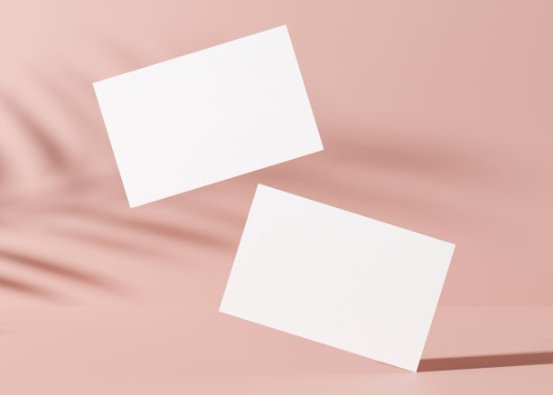 空白白色名片与植物阴影在粉红色的背景。品牌标识的天然模型。两张牌显示两面。模板图形设计师。3 d渲染。图片下载