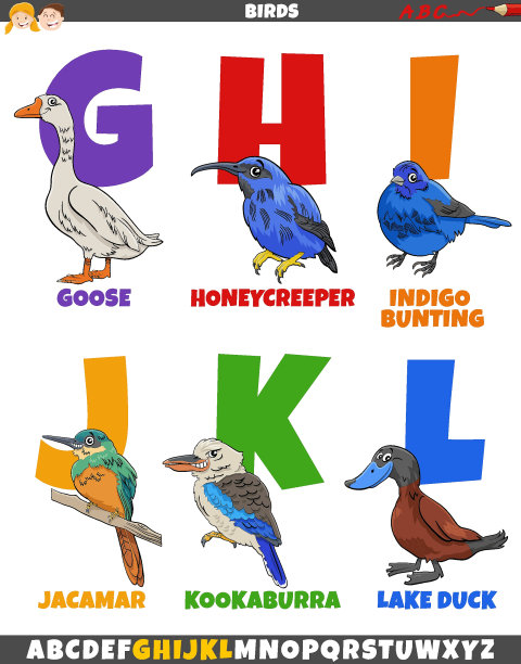 教育字母设置与卡通鸟类动物角色图片下载