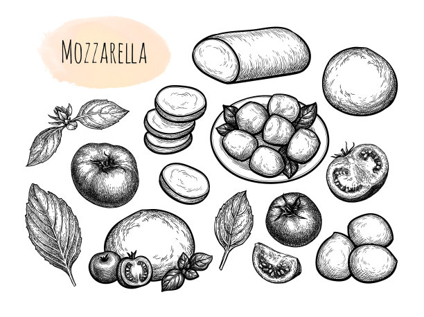 马苏里拉奶酪大套装图片下载