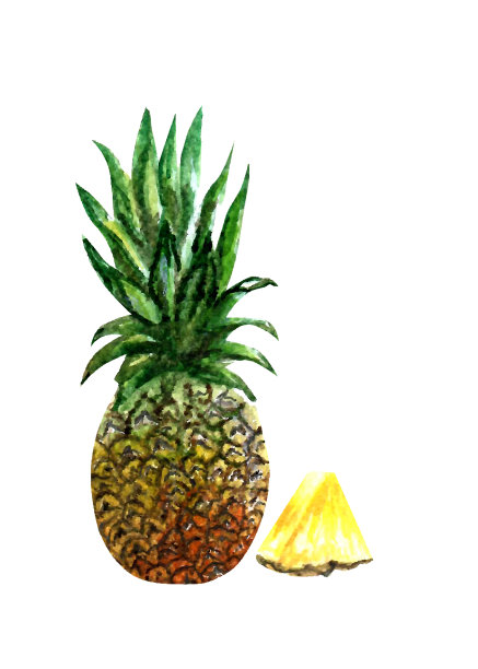 菠萝水彩图片下载