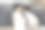 客厅的沙发旁，一个小女孩正准备坐在衣服筐里，小男孩和她开玩笑——库存照片图片下载