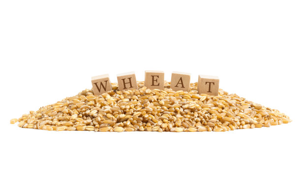 小麦和粮食危机的概念。小麦字在木块上的金纹背景。景深图片下载