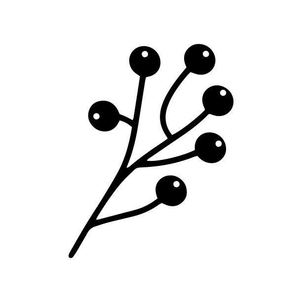 手工绘制的黑色浆果金德玫瑰植物在白色图片下载