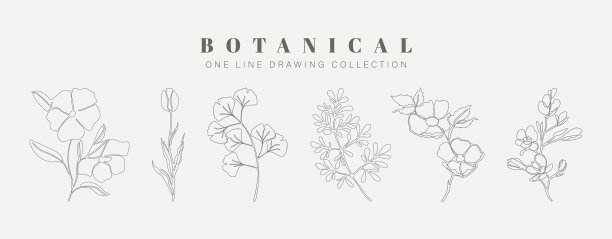 植物艺术手绘连续线图图片下载