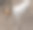特写照片狗与一个白色的身体与棕色的脸。图片下载
