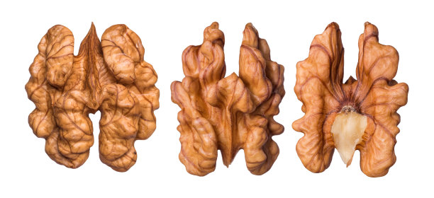 核桃仁在白色背景上分离图片下载