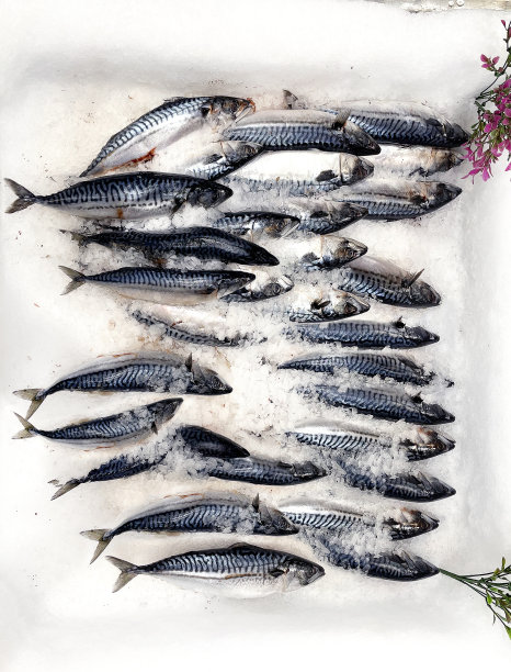 超市里的鲜鱼海鲜图片下载