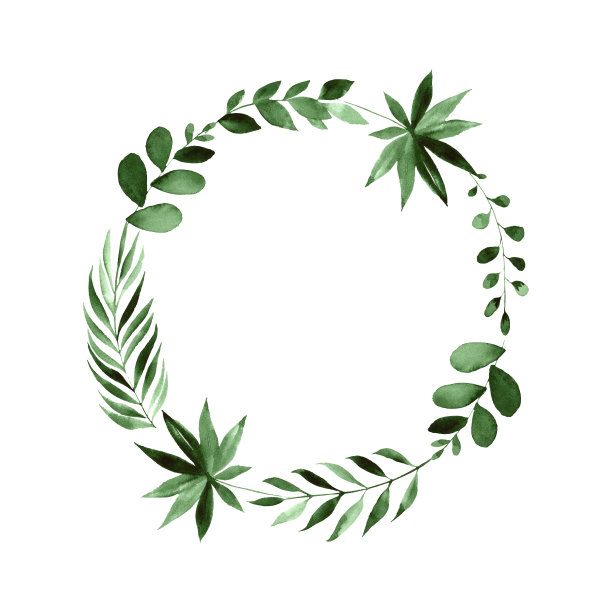 植物的绿色枝叶环。手绘水彩图片下载