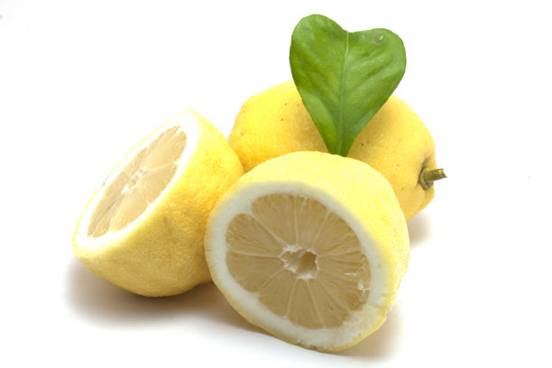 心叶柠檬图片下载