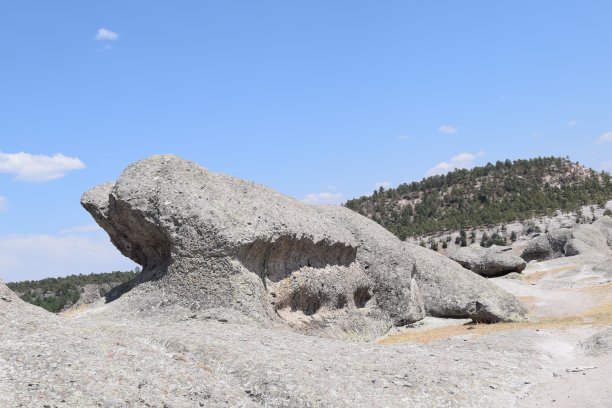 天然青蛙状岩层位于克里尔，奇瓦瓦，墨西哥图片下载