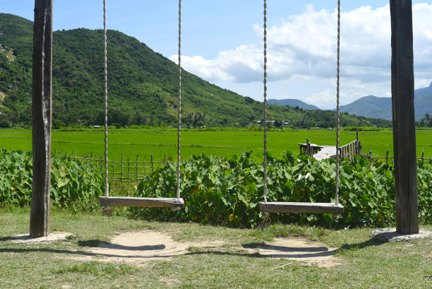 在越南一个阳光明媚的日子里，稻田里的木秋千图片下载