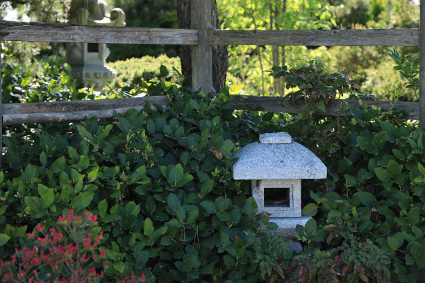 加拿大的日式花园图片下载