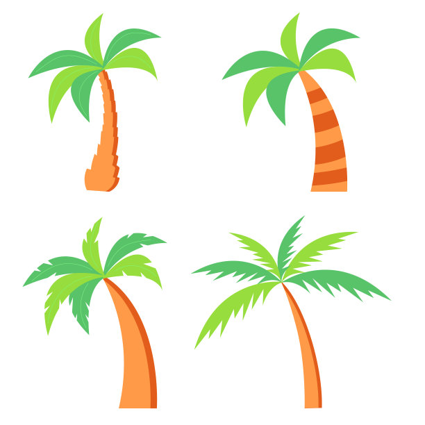 一组不同的棕榈树。孤立在白色背景。矢量插图。图片下载
