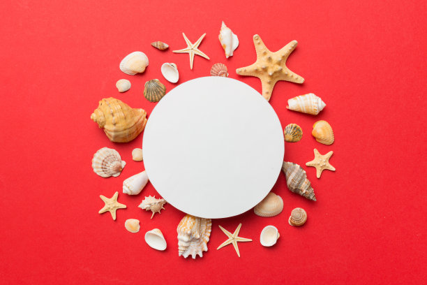 夏天的时间概念与空白贺卡和空白白纸彩色背景。贝壳从海洋海岸的形状框与文字顶部的空间分开图片下载