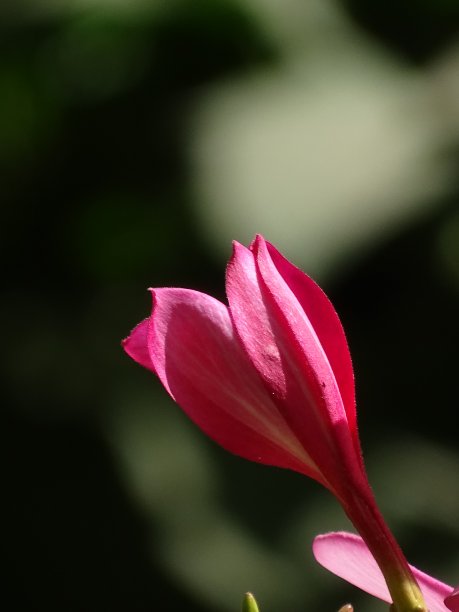 的新生活图片下载