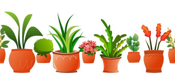 室内植物和花卉。无缝的水平组合。在陶罐。自制的美丽的草本植物。孤立在白色背景。卡通有趣的风格。向量图片下载