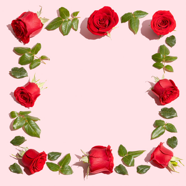 创造性的花组成。复古的框架制成的红玫瑰在粉彩的背景。最小平。情人节还是爱情的概念。图片下载